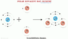 Bilinen Polar Molekül Örnekleri