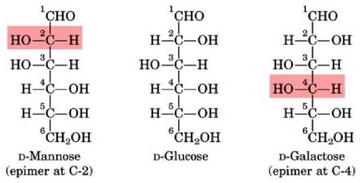 Karbon Molekül Ağırlığı Nedir?