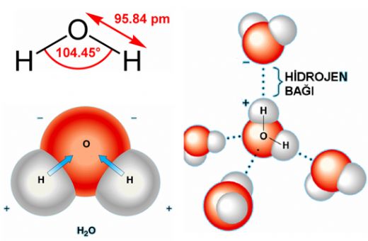 H2o Molekl Arl